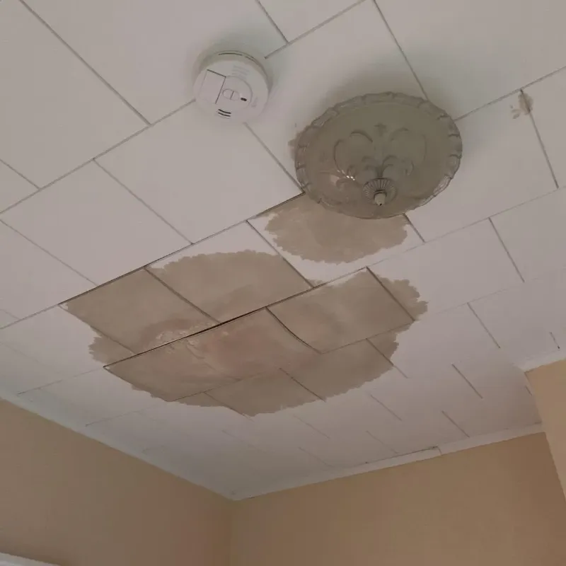 Ceiling Water Damage Repair in Saint James, NY
